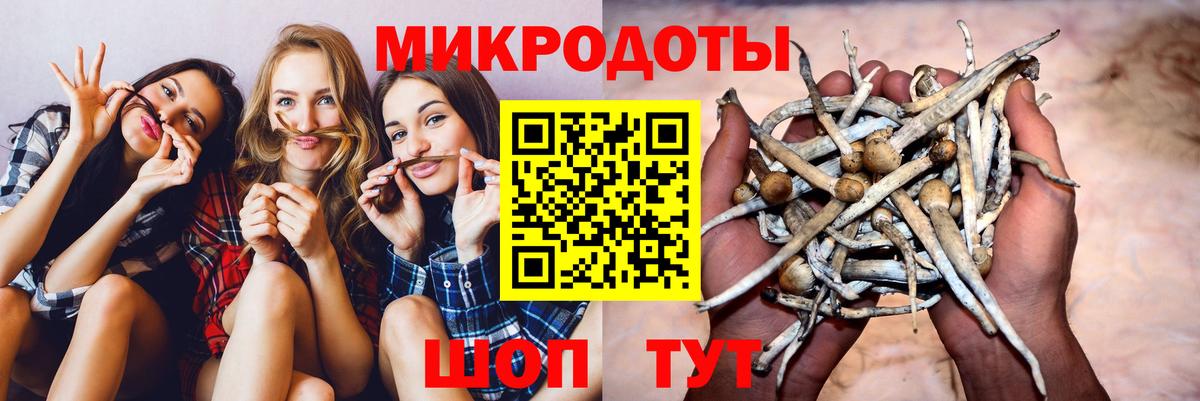 Галлюциногенные грибы GOLDEN TEACHER Вольск