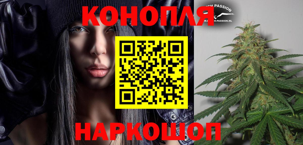 Бошки Шишки тримм Вольск